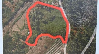 Building land in Parada de Todeia of 7,480 m²