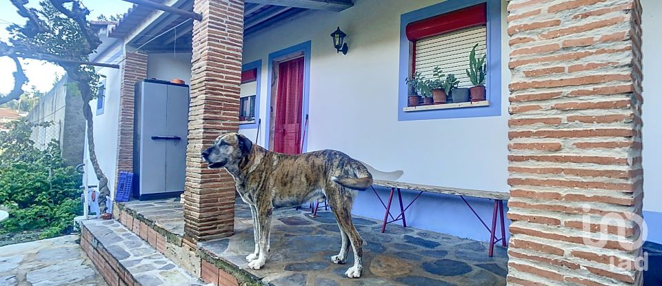 Casa de aldeia T4 em Rio de Moinhos de 221 m²