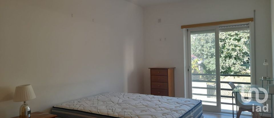 Apartamento T1 em Castelo Branco de 53 m²