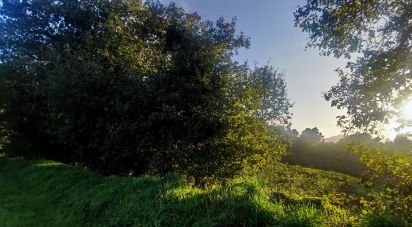 Terreno em Loivo de 1 200 m²