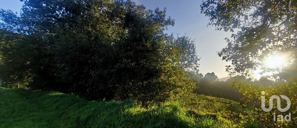 Terrain à Loivo de 1 200 m²