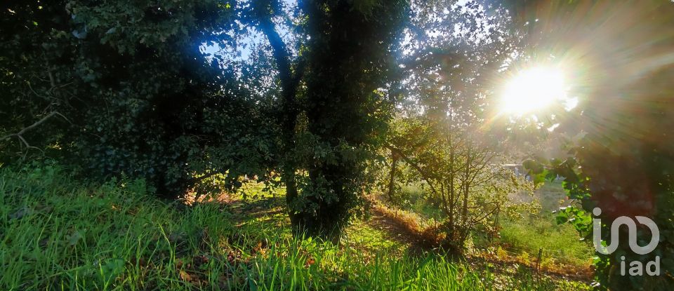 Terreno em Loivo de 1 200 m²