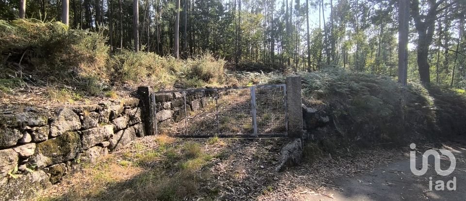 Terreno para construção em Ruivães e Campos de 3 186 m²