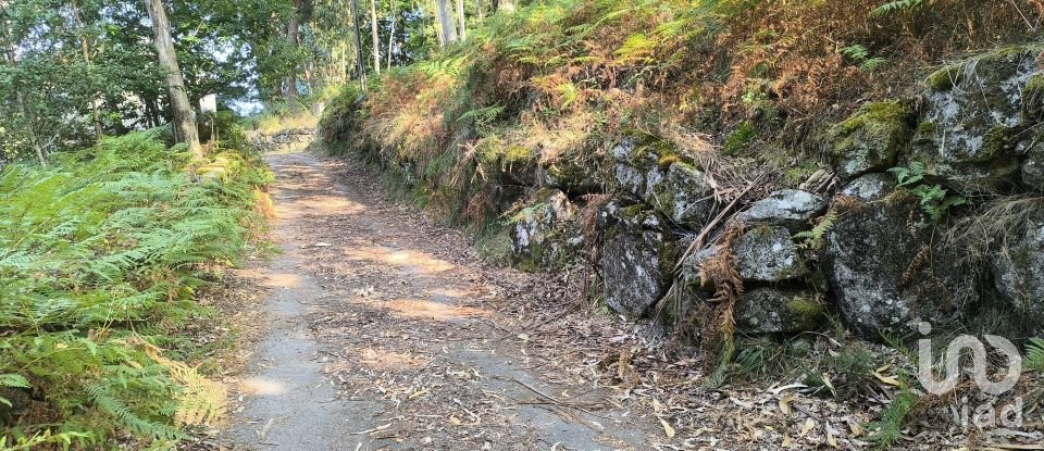 Terreno para construção em Ruivães e Campos de 3 186 m²