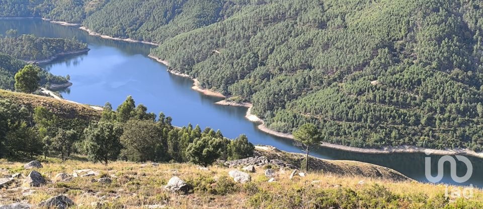 Terreno para construção em Ruivães e Campos de 3 186 m²