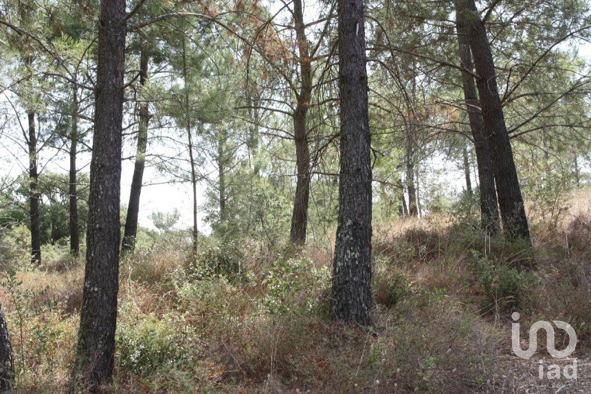 Land in Palmela of 10,966 m²