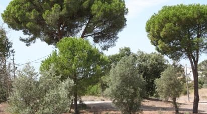 Land in Palmela of 10,966 m²