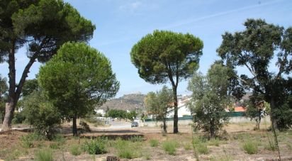 Land in Palmela of 10,966 m²