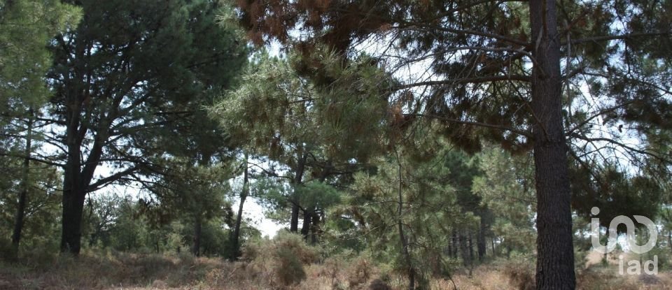 Land in Palmela of 10,966 m²