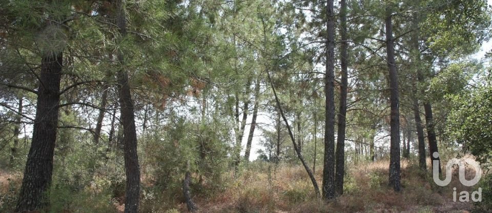 Land in Palmela of 10,966 m²