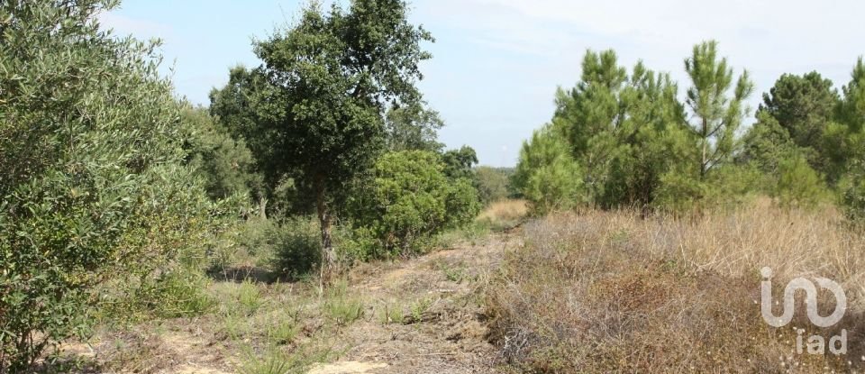 Land in Palmela of 10,966 m²