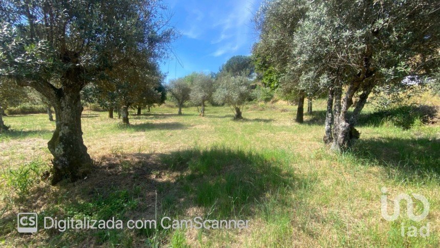 Land in Galveias of 8,750 m²