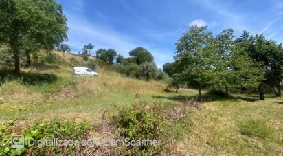 Land in Galveias of 8,750 m²