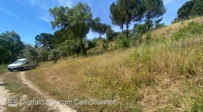 Land in Galveias of 8,750 m²