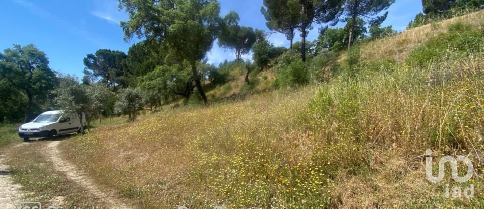 Land in Galveias of 8,750 m²