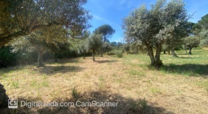 Land in Galveias of 8,750 m²