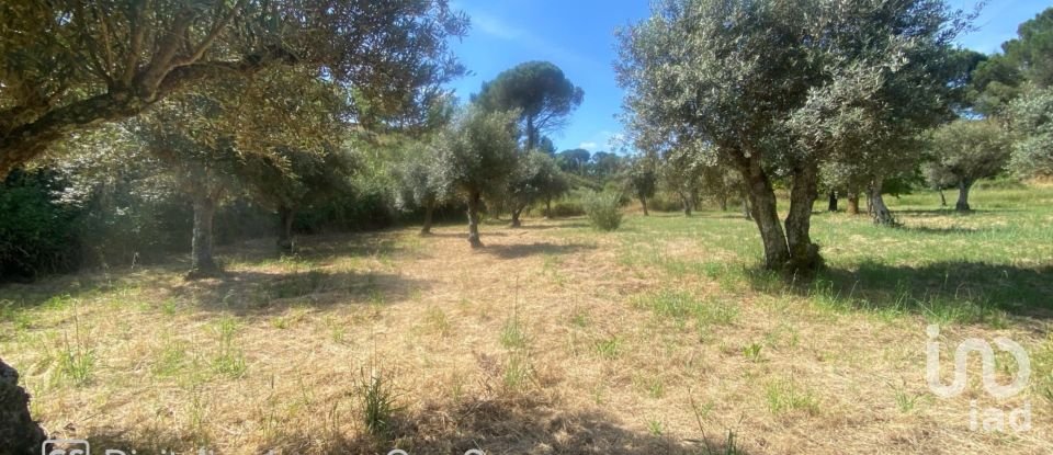 Land in Galveias of 8,750 m²