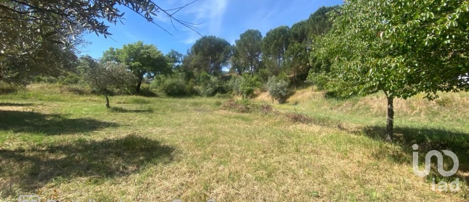 Land in Galveias of 8,750 m²