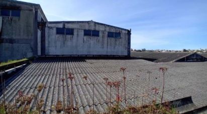 Loja / Estabelecimento Comercial em Queluz e Belas de 6 235 m²