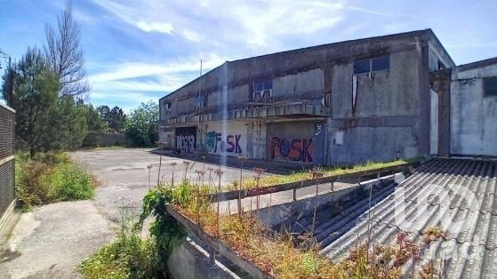 Loja / Estabelecimento Comercial em Queluz e Belas de 6 235 m²