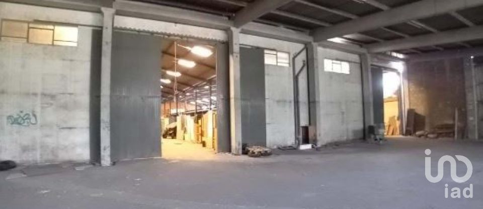 Loja / Estabelecimento Comercial em Queluz e Belas de 6 235 m²