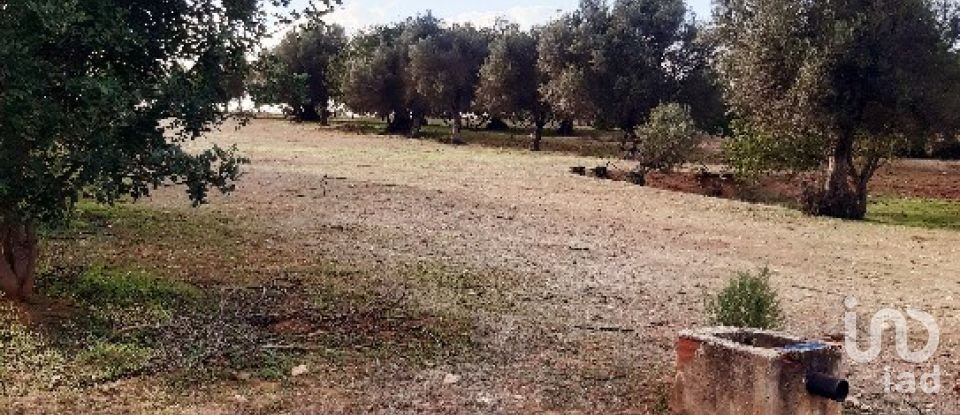 Terreno Agrícola em Boliqueime de 7 000 m²