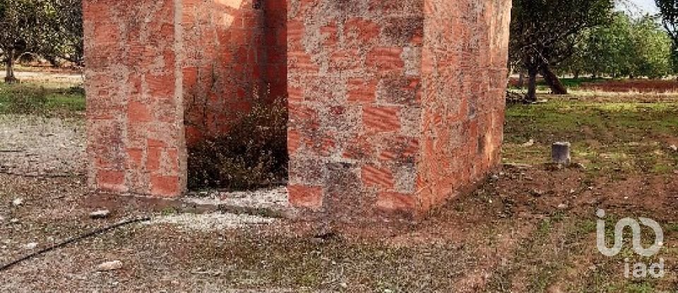 Terreno Agrícola em Boliqueime de 7 000 m²