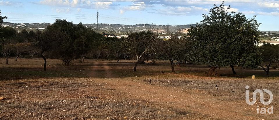 Terreno Agrícola em Boliqueime de 7 000 m²