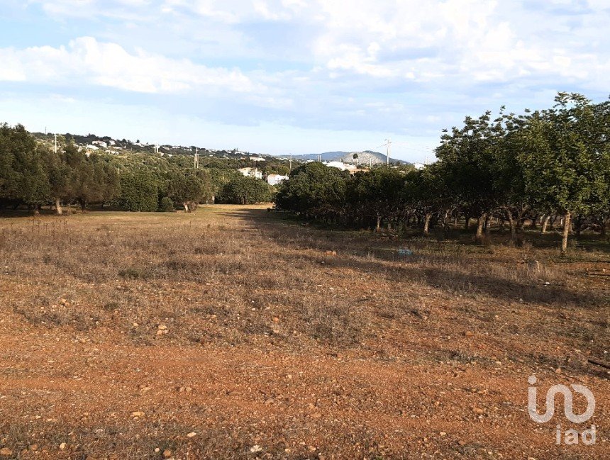 Terreno Agrícola em Boliqueime de 7 000 m²