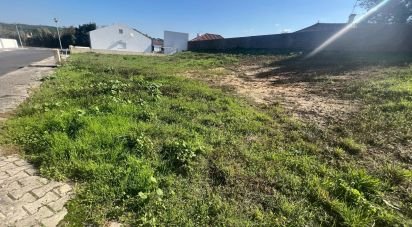 Building land in Lamas e Cercal of 804 m²