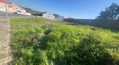 Building land in Lamas e Cercal of 804 m²