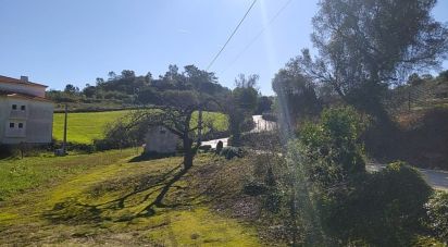 Terreno em Alcobaça e Vestiaria de 17 749 m²