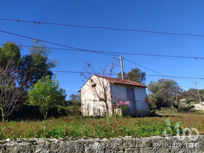 Terreno em Alcobaça e Vestiaria de 17 749 m²