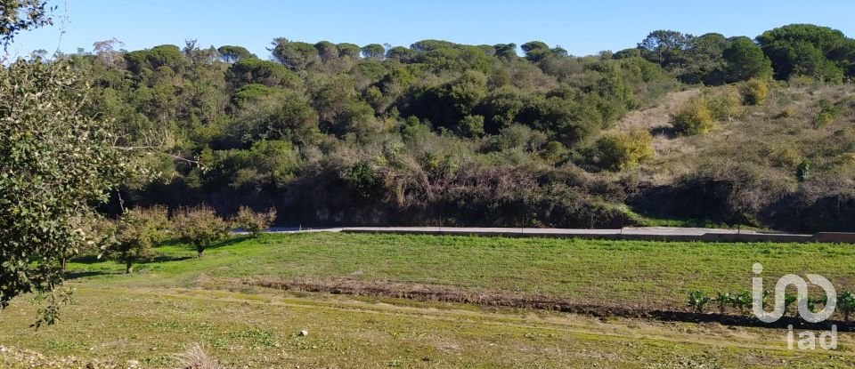 Terreno em Alcobaça e Vestiaria de 17 749 m²