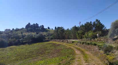 Terreno em Alcobaça e Vestiaria de 17 749 m²