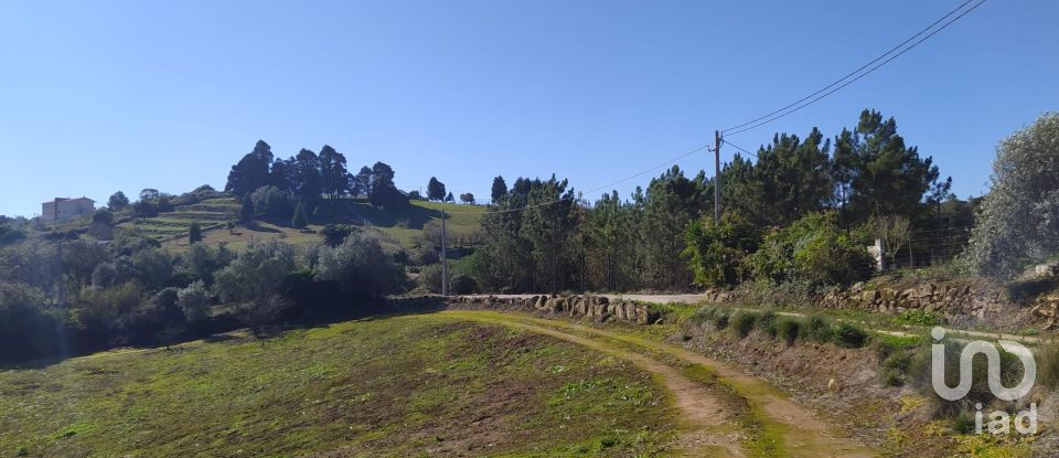 Terreno em Alcobaça e Vestiaria de 17 749 m²