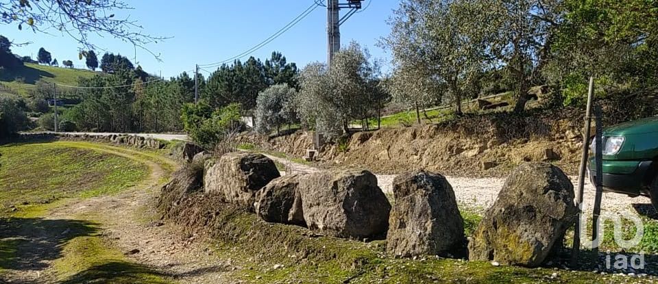 Terreno em Alcobaça e Vestiaria de 17 749 m²