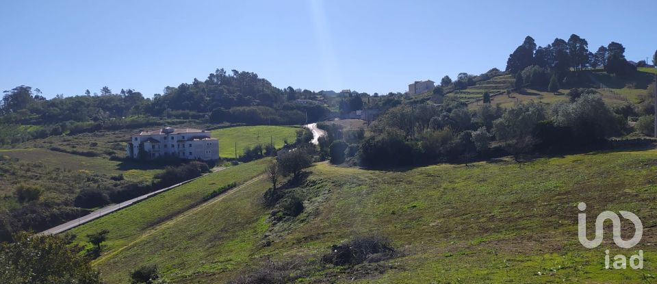 Terreno em Alcobaça e Vestiaria de 17 749 m²