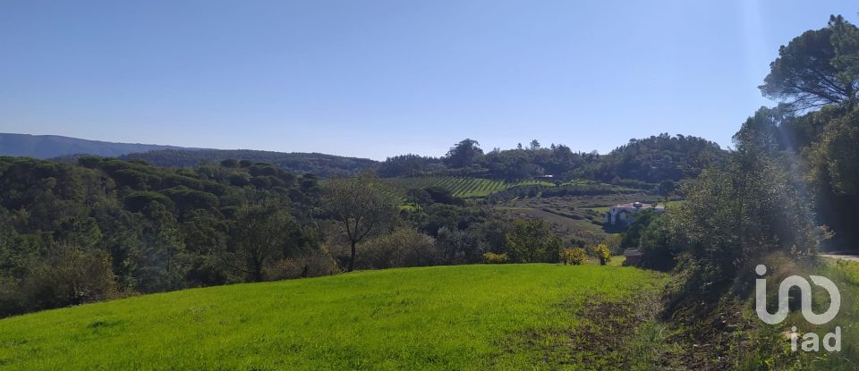 Terreno em Alcobaça e Vestiaria de 17 749 m²