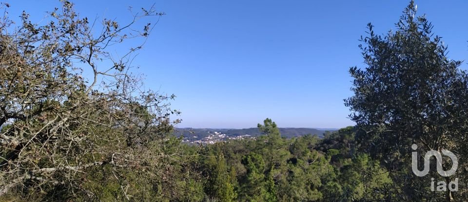 Terreno em Alcobaça e Vestiaria de 17 749 m²