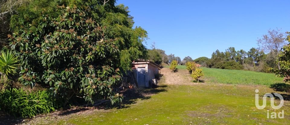 Terreno em Alcobaça e Vestiaria de 17 749 m²