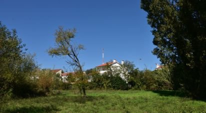 Country house T2 in Caxarias of 50 m²