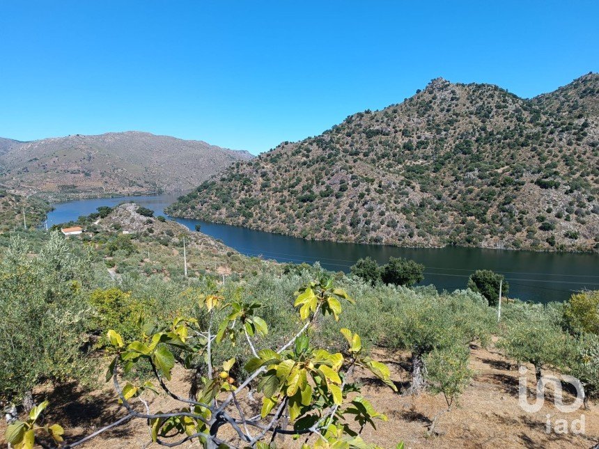 Terreno Agrícola em Freixo de Espada à Cinta e Mazouco de 6 000 m²