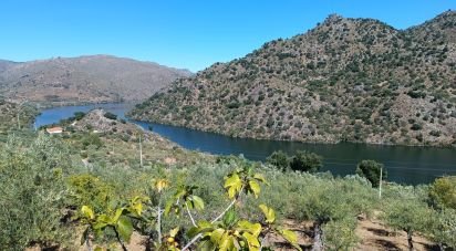 Terreno Agrícola em Freixo de Espada à Cinta e Mazouco de 6 000 m²