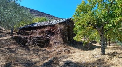 Terreno Agrícola em Freixo de Espada à Cinta e Mazouco de 6 000 m²