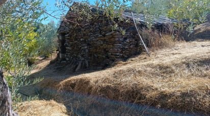 Terreno Agrícola em Freixo de Espada à Cinta e Mazouco de 6 000 m²