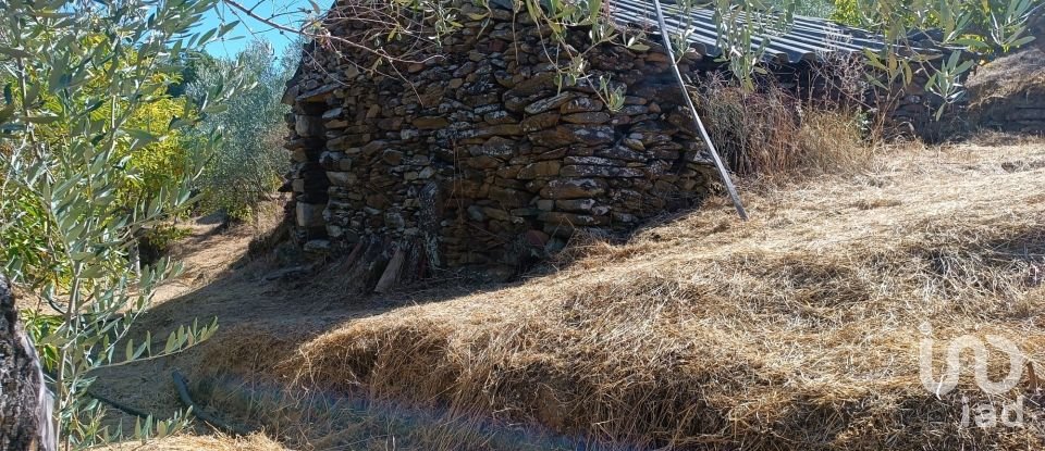 Terreno Agrícola em Freixo de Espada à Cinta e Mazouco de 6 000 m²