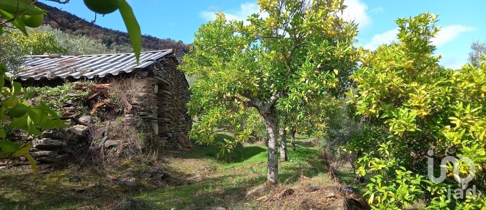 Terreno Agrícola em Freixo de Espada à Cinta e Mazouco de 6 000 m²