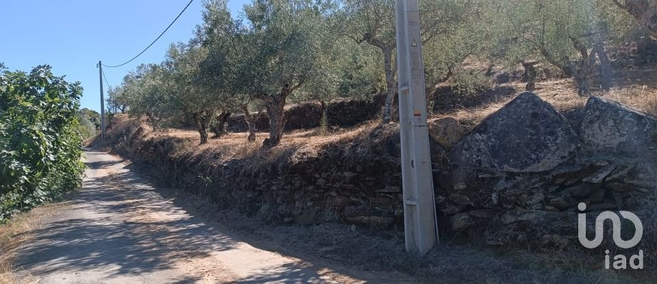 Terreno Agrícola em Freixo de Espada à Cinta e Mazouco de 6 000 m²