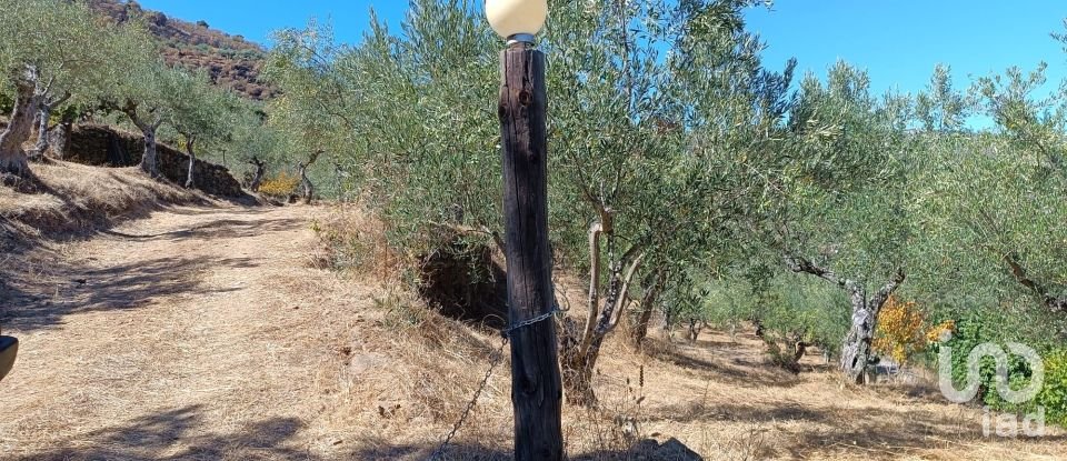 Terrain agricole à Freixo de Espada à Cinta e Mazouco de 6 000 m²